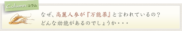 なぜ、高麗人参が『万能薬』と言われているの? どんな効能があるのでしょうか